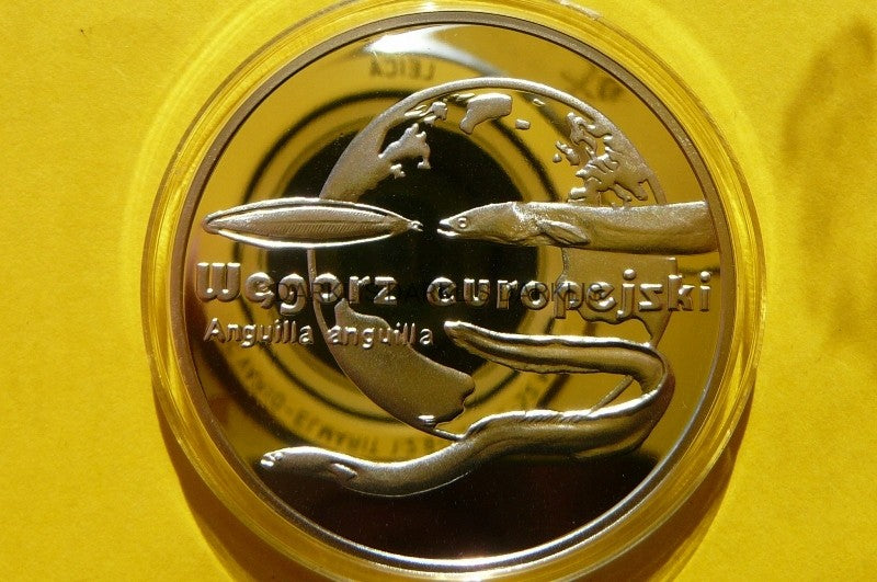 20 ZŁOTYCH POLSKA 2003 WĘGORZ EUROPEJSKI - Ag 925